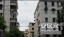 大连金虹西路最新爆料,揭秘改造进展与周边变化